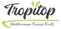 Cupones, Códigos Promocionales Y Descuentos Tropitop Coupons & Promo Codes