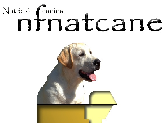 NFNatcane Coupons & Promo Codes