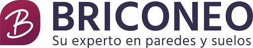 BRICONEO Coupons & Promo Codes